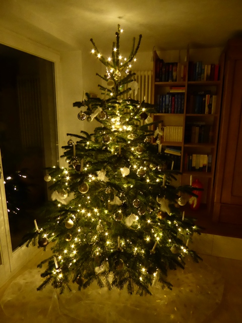 Weihnachtsbaum 16 2